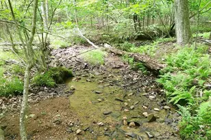 00 Tracks Hollow, Murphy, NC 28906 - Photo 1