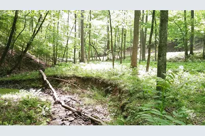 00 Tracks Hollow, Murphy, NC 28906 - Photo 49