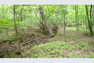 00 Tracks Hollow, Murphy, NC 28906 - Photo 15