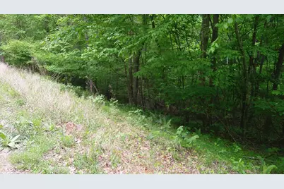 00 Tracks Hollow, Murphy, NC 28906 - Photo 9