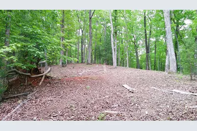 00 Tracks Hollow, Murphy, NC 28906 - Photo 33