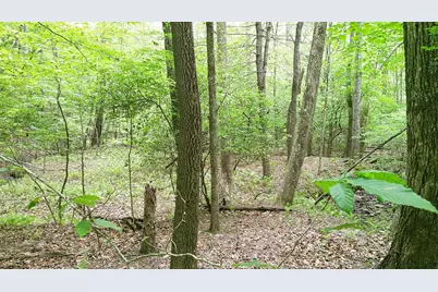 00 Tracks Hollow, Murphy, NC 28906 - Photo 19