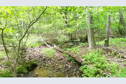 00 Tracks Hollow, Murphy, NC 28906 - Photo 13