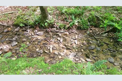 00 Tracks Hollow, Murphy, NC 28906 - Photo 47