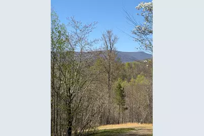 Lot 16-N High Meadows Drive, Hayesville, NC 28904 - Photo 9