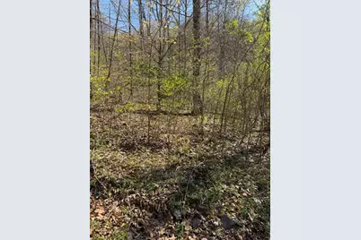 Lot 16-N High Meadows Drive, Hayesville, NC 28904 - Photo 7