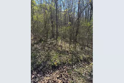 Lot 16-N High Meadows Drive, Hayesville, NC 28904 - Photo 3