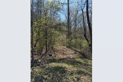 Lot 16-N High Meadows Drive, Hayesville, NC 28904 - Photo 5