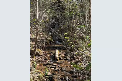 Lot 16-N High Meadows Drive, Hayesville, NC 28904 - Photo 1