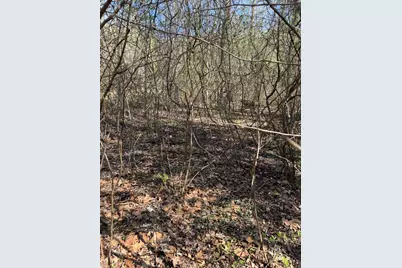 Lot 16-N High Meadows Drive, Hayesville, NC 28904 - Photo 11