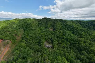 847 Deer Hill Rd, Murphy, NC 28906 - Photo 53