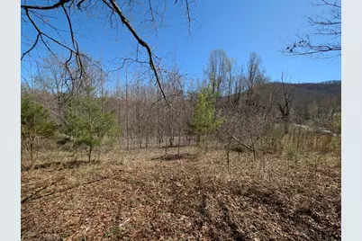 Lot 108 Smokerise Drive, Hayesville, NC 28904 - Photo 5