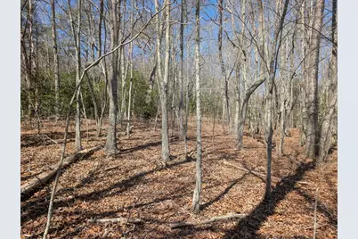Lot 108 Smokerise Drive, Hayesville, NC 28904 - Photo 11