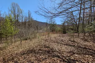 Lot 108 Smokerise Dr, Hayesville, NC 28904 - Photo 1