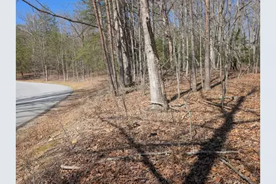 Lot 108 Smokerise Drive, Hayesville, NC 28904 - Photo 13