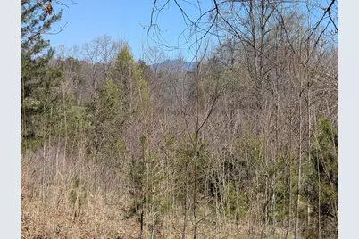 Lot 108 Smokerise Drive, Hayesville, NC 28904 - Photo 3