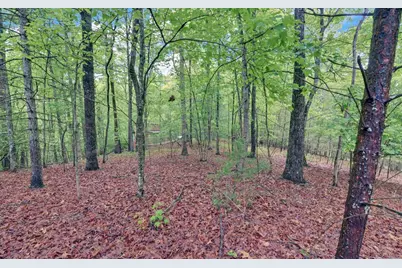 100 Carvers View Trail, Murphy, NC 28906 - Photo 47