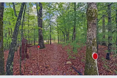 100 Carvers View Trail, Murphy, NC 28906 - Photo 41
