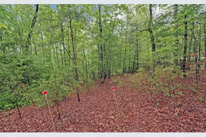 100 Carvers View Trail, Murphy, NC 28906 - Photo 45