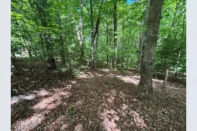 Lot 1B Forest Lane, Murphy, NC 28906 - Photo 9