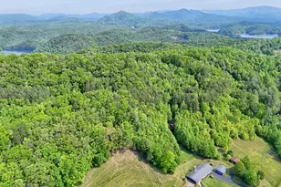 3235 Hiwassee Dam Access Rd, Murphy, NC 28906 - Photo 17