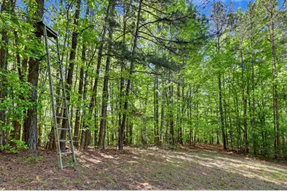 3235 Hiwassee Dam Access Road, Murphy, NC 28906 - Photo 15