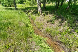 11985 Hwy 294, Murphy, NC 28906 - Photo 9