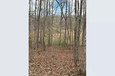 2-5 Country Lane, Murphy, NC 28906 - Photo 3