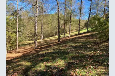 121 White Oak Drive, Warne, NC 28909 - Photo 55