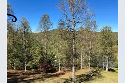 121 White Oak Drive, Warne, NC 28909 - Photo 51