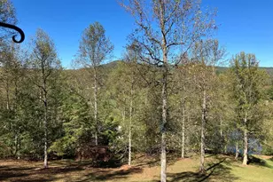 121 White Oak Dr, Warne, NC 28909 - Photo 51
