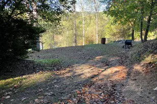 121 White Oak Dr, Warne, NC 28909 - Photo 33