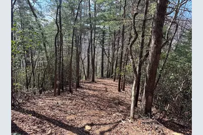 Lot 5 Huffman Creek Road, Robbinsville, NC 28771 - Photo 11
