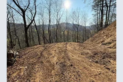 Lot 5 Huffman Creek Road, Robbinsville, NC 28771 - Photo 3