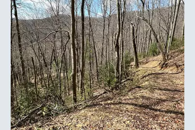 Lot 5 Huffman Creek Road, Robbinsville, NC 28771 - Photo 7