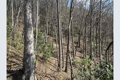 Lot 5 Huffman Creek Road, Robbinsville, NC 28771 - Photo 13