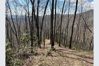 Lot 5 Huffman Creek Road, Robbinsville, NC 28771 - Photo 9
