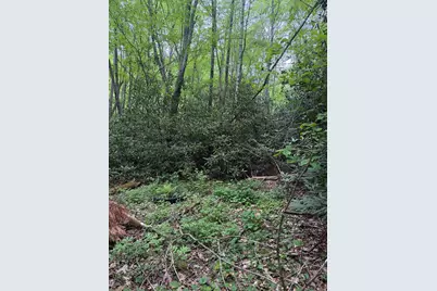 Lots 9&17 Warrior Way, Andrews, NC 28901 - Photo 3