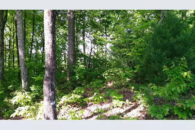 00 Fain Peak, Murphy, NC 28906 - Photo 9