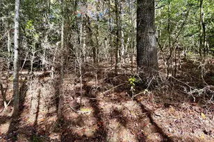 Lot 6 Beaverdam Loop, Murphy, NC 28906 - Photo 1