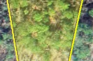 Lot 18 Little Cottontail, Murphy, NC 28906 - Photo 1