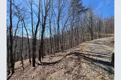 Lot 17 Panorama Dr Wolf Mountain Estates, Murphy, NC 28906 - Photo 13