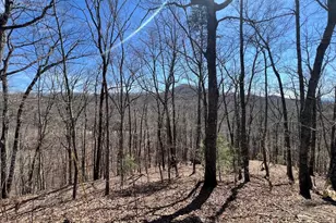 Lot 17 Panorama Dr Wolf Mountain Estates, Murphy, NC 28906 - Photo 1