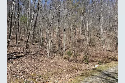 Lot 17 Panorama Dr Wolf Mountain Estates, Murphy, NC 28906 - Photo 17