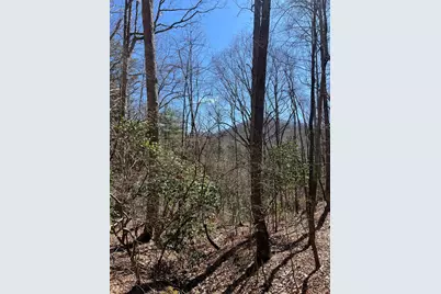 Lot 17 Panorama Dr Wolf Mountain Estates, Murphy, NC 28906 - Photo 19