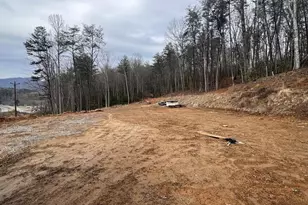 12216 Hwy 64, Murphy, NC 28906 - Photo 1