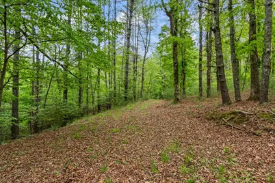 149 Sandy Lane, Murphy, NC 28906 - Photo 95