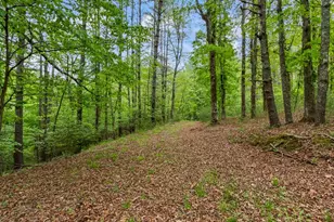 149 Sandy Ln, Murphy, NC 28906 - Photo 95