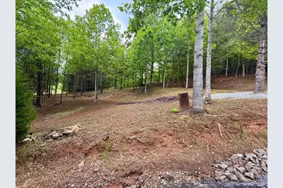 876 Gibson Hill Road, Hiawassee, GA 30546 - Photo 57