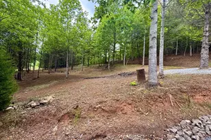 876 Gibson Hill Rd, Hiawassee, GA 30546 - Photo 57